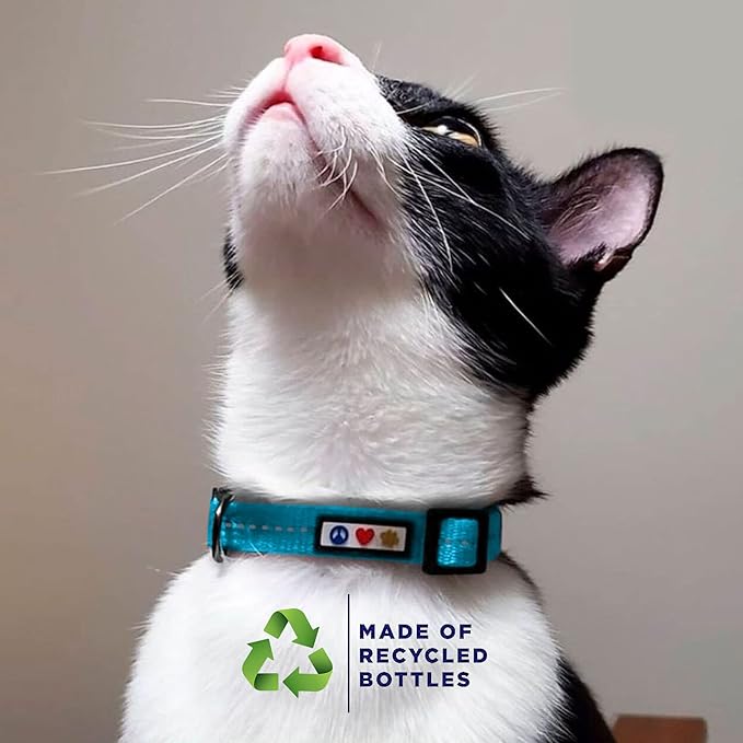 Pawtitas Recycled Pink Reflective Cat Collar – Eco-Friendly Breakaway Safety - Image 3