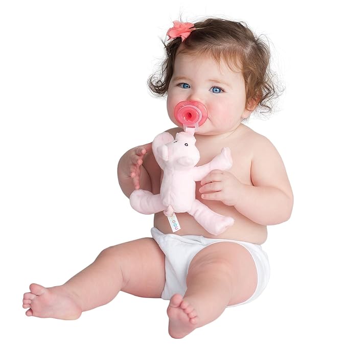 Nookums Paci-Plushies Shakies - Pacifier Holder with Built in Rattle (2 in 1)- Adapts to Name Brand Pacifiers, Suitable for All Ages, Plush Toy Includes Detachable Pacifier (Pig)