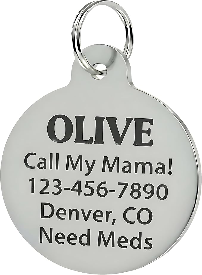 Bad Tags Personalized Dog and Cat ID Tags in 25+ Designs and 2 Sizes - Image 2