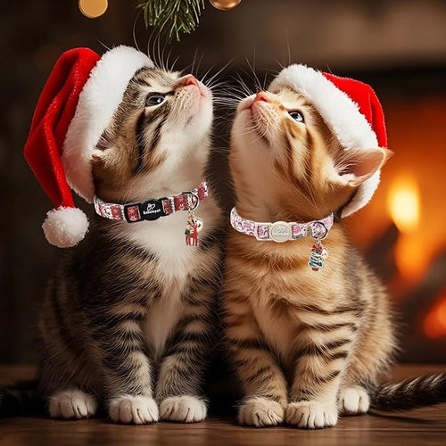 2 Pack Christmas Cat Collars - Image 2