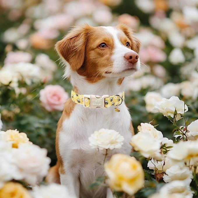 Bee & Daisy Dog Collar for Giant Large Dogs - Image 2