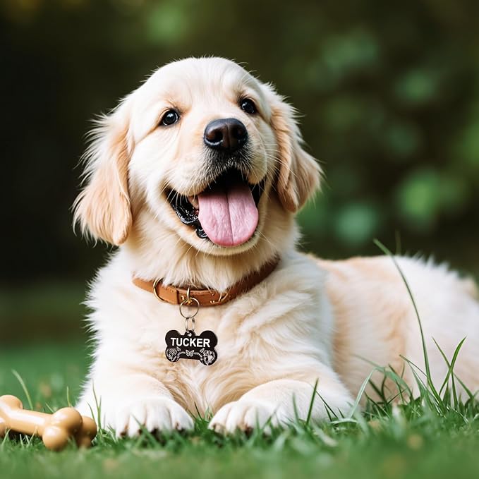 YEHANTI Dog Tags Personalized for Pets - Image 2