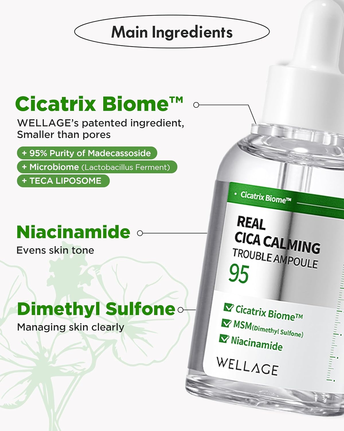 WELLAGE Real Cica Calming Trouble Ampoule - Korean Skincare Soothing Serum, Madecassoside Centella Asiatica Panthenol Niacinamide, Relief Redness, Sebum Control, Improves Blemishes, 1.69 fl.oz.