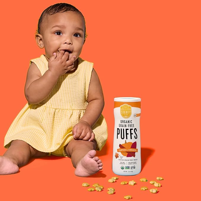 Serenity Kids 6+ Months Grain-Free Allergen-Safe Puffs for Toddlers & Babies - No Grains, Gluten, Nuts, Rice - Organic Veggies, Legumes, Olive Oil (1.5 Ounce (1 Count), Pumpkin & Cinnamon)