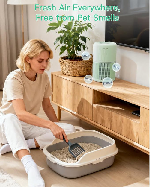 2 Pack Air Purifier for Home Bedroom - Image 2