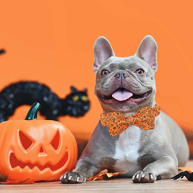 Halloween Dog Collar, Pet Collars Dog Bow Pumpkin Cute Cotton Dogs Collar Girl - Image 3