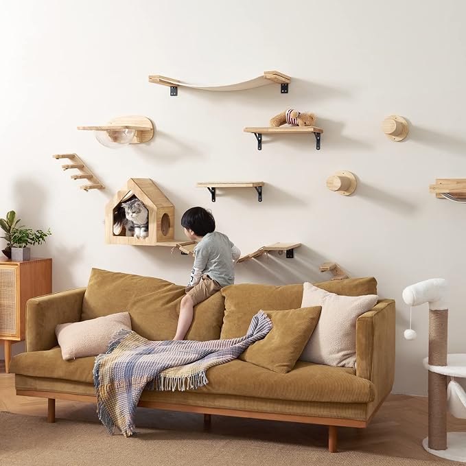 FUKUMARU Cat Wall Furniture Set, Transparent Capsule Kitten Walls Shelves - Image 8
