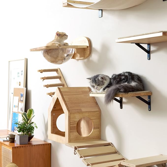 FUKUMARU Cat Wall Furniture Set, Transparent Capsule Kitten Walls Shelves - Image 7