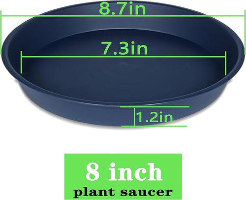 2 Pack of 8 inch Plant Saucer Clear, Heavy Duty Plastic Plant Water Tray 8 inch - Image 2