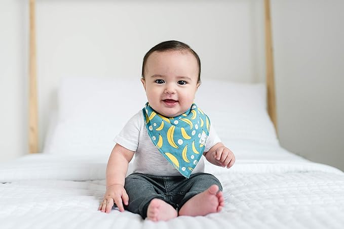 Copper Pearl 4 Pack Soft Cotton Baby Bibs for Drooling and Teething, Absorbent Drool Bibs for Baby Girl and Boy, Adjustable to Fit Newborns to Toddlers, Tons of Styles (Citrus)
