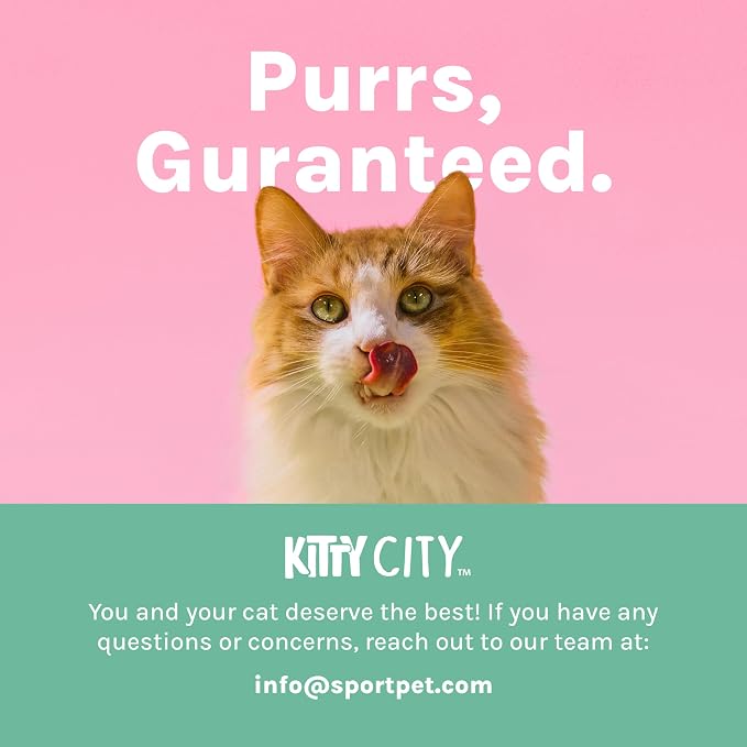 Kitty City Outdoor Catio Furniture and Play Kits - Image 9