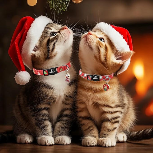 2 Pack Christmas Cat Collars - Image 2