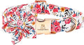 Lionheart Glory Floral Dog Collar by LionheartGlory