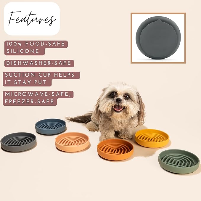 Should We Go? Slow Feeder for Dogs & Cats, The Slowdown Bowl Silicone Slow Eating Mealtime Solution with Modern Lick Mat Design, Reduces Gulping, Fits 1 Cup, 6” Across x 1.25” Tall, Small-Terracotta