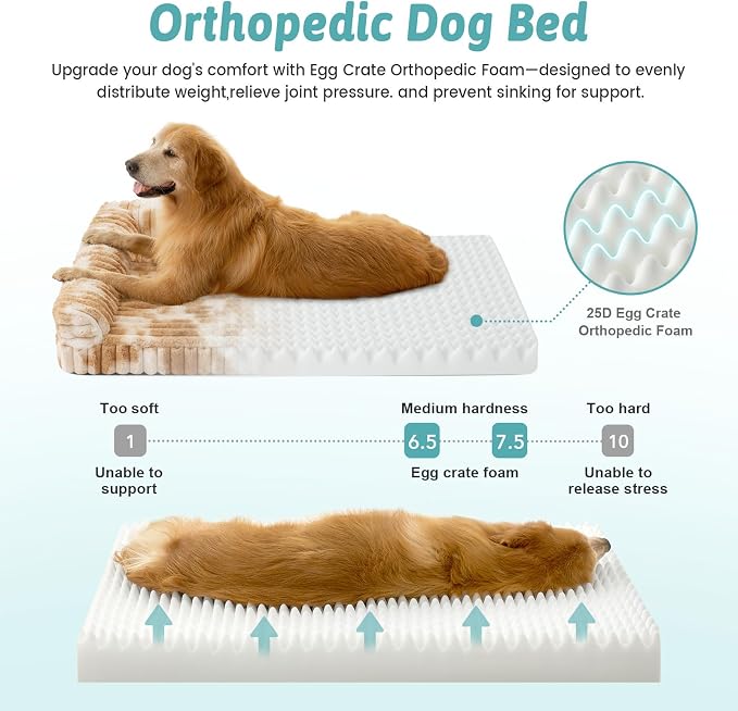 Cute Dog Bed for Medium Dogs, Faux Rabbit Fur Orthopedic Foam Dog Bed - Image 6