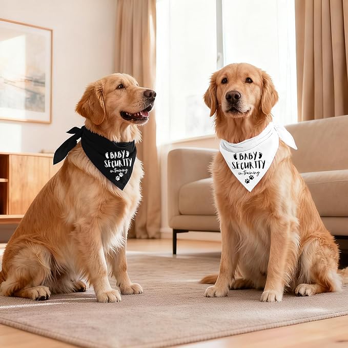 Our Humans are Getting us a Baby Dog Bandanas Pet Scarf Pregnancy Announcement - Image 6
