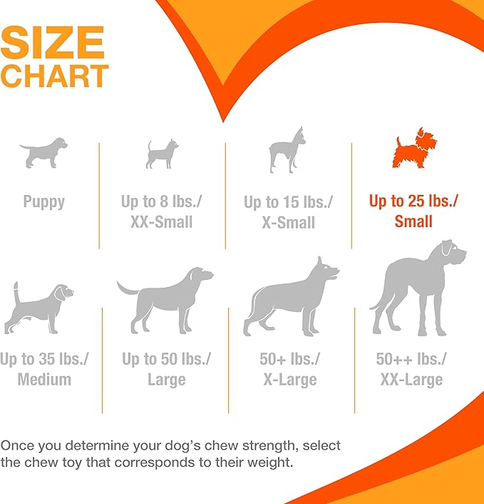 Nylabone Puppy Pacifier Chew Toy, Teething Toys - Image 5