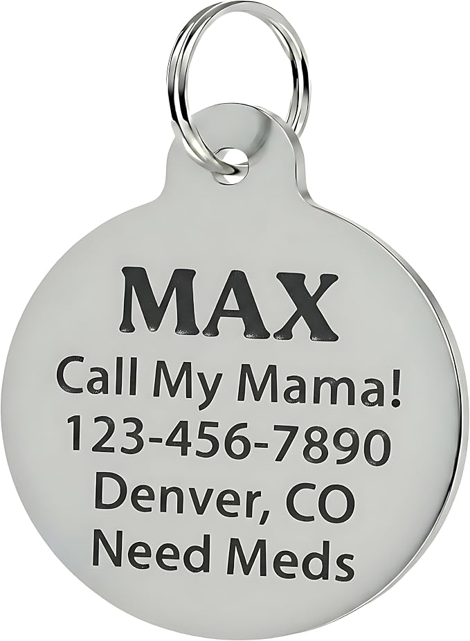 Bad Tags Personalized Dog and Cat ID Tags in 25+ Designs and 2 Sizes - Image 3