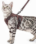 Cat Harness and Leash Set Escape Proof Tactical Large Kitten Harness Emotional by pangdi