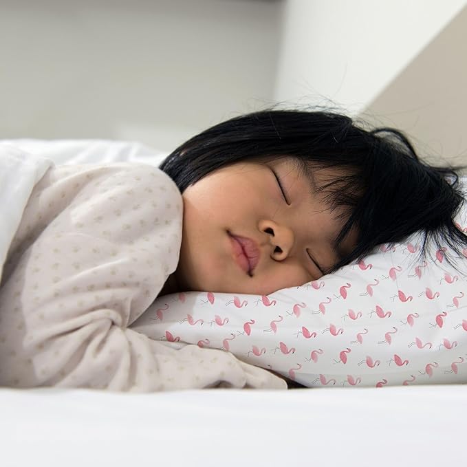 Little Sleepy Head Toddler Pillow with Pillowcase 13x18 - Kids Pillow for Sleeping - Better Neck Support Ergonomic Pillow and Toddler Pillowcase - Best Pillows for Kids (Flamingo Flock)