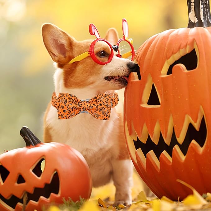 Halloween Dog Collar, Pet Collars Dog Bow Pumpkin Cute Cotton Dogs Collar Girl - Image 4