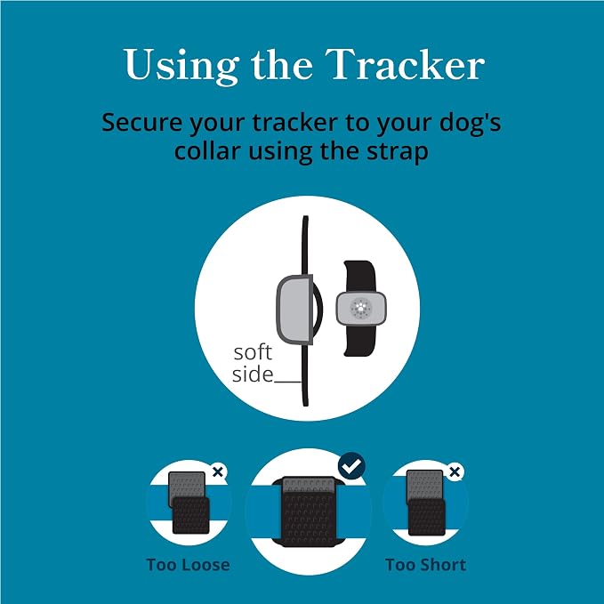 Petivity Smart GPS and Activity Pet Tracker - Image 6