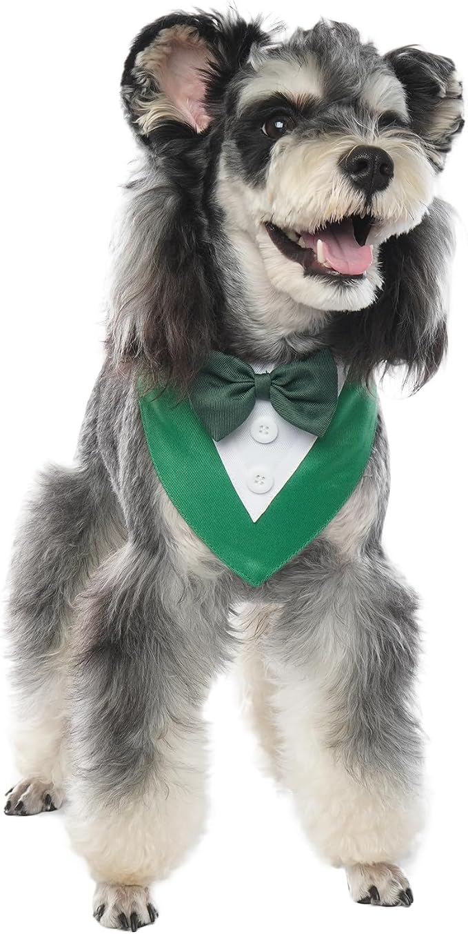 FUAMEY Dog Tuxedo St.Patrick's for Small Dogs, Dog Formal Suit Dogs Attire Pet - Image 3