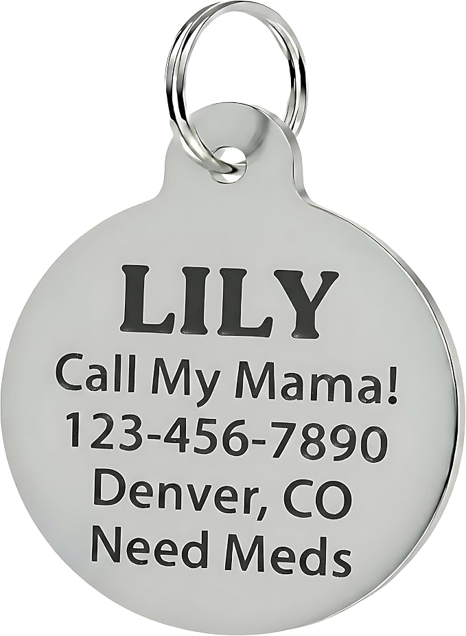 Bad Tags Personalized Dog and Cat ID Tags in 25+ Designs and 2 Sizes - Image 2