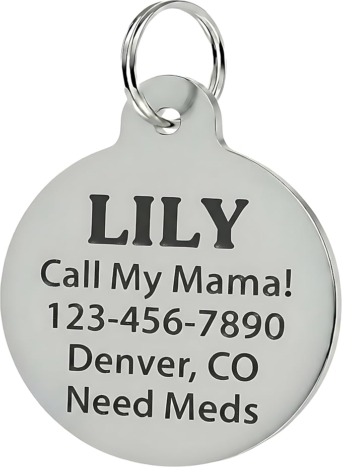 Bad Tags Personalized Dog and Cat ID Tags in 25+ Designs and 2 Sizes - Image 2