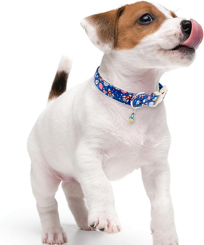 Faygarsle Space Theme Dog Collar - Image 6