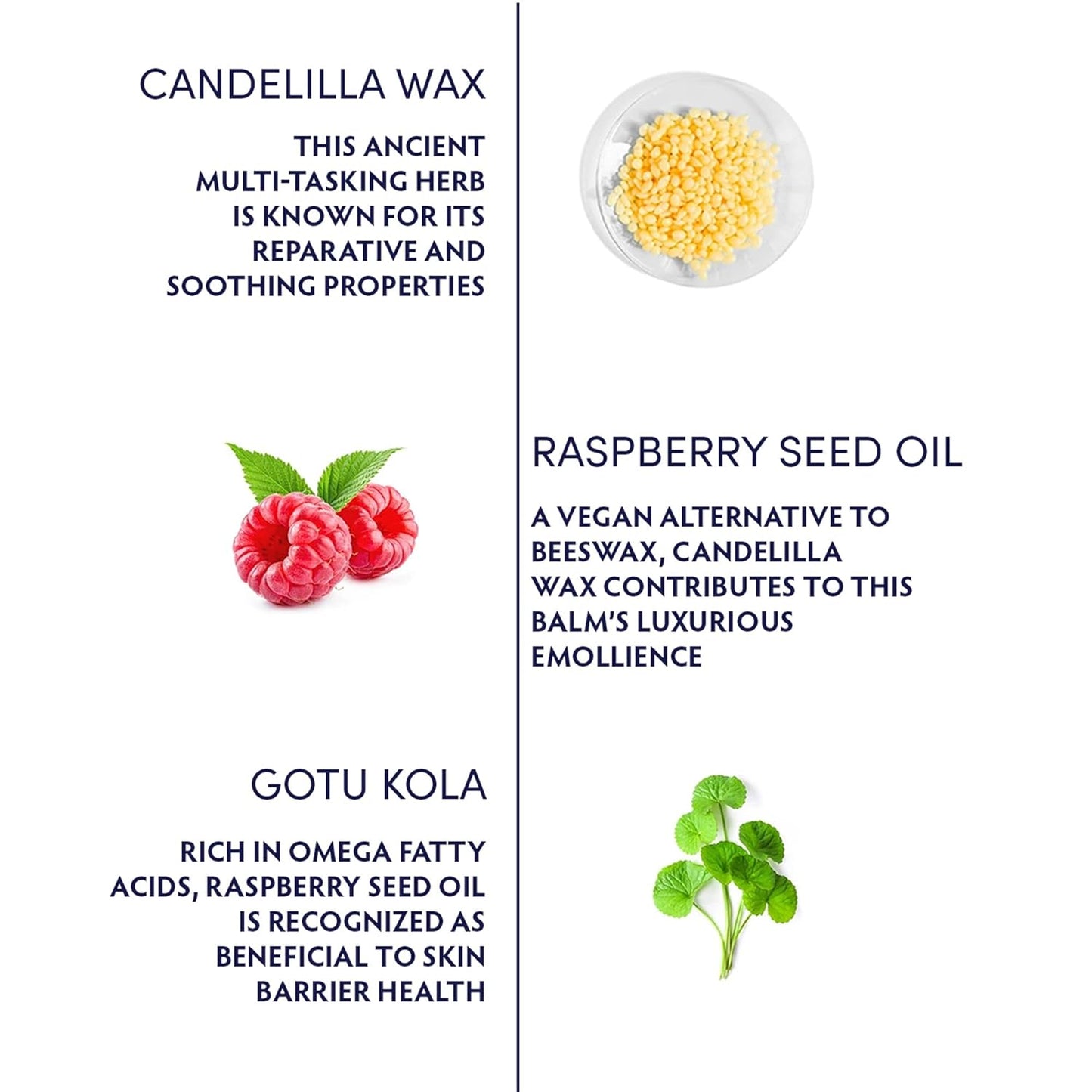 Naturopathica Gotu Kola Intense Repair Balm, Daily Facial Moisturizer for Skin Barrier Repair, Hydrating Face Cream to Help Reduce Redness, 2.8 oz