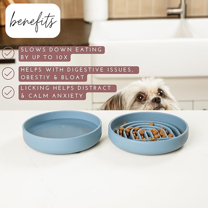 Should We Go? Slow Feeder for Dogs & Cats, The Slowdown Bowl Silicone Slow Eating Mealtime Solution with Modern Lick Mat Design, Reduces Gulping, Fits 1 Cup, 6” Across x 1.25” Tall, Small-Honey