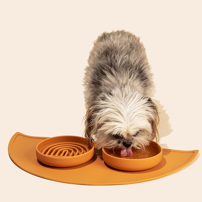 Should We Go? Slow Feeder for Dogs & Cats, The Slowdown Bowl Silicone Slow Eating Mealtime Solution with Modern Lick Mat Design, Reduces Gulping, Fits 1 Cup, 6” Across x 1.25” Tall, Small-Charcoal