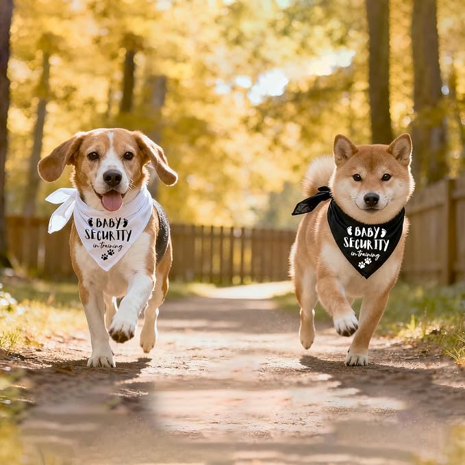 Our Humans are Getting us a Baby Dog Bandanas Pet Scarf Pregnancy Announcement - Image 5