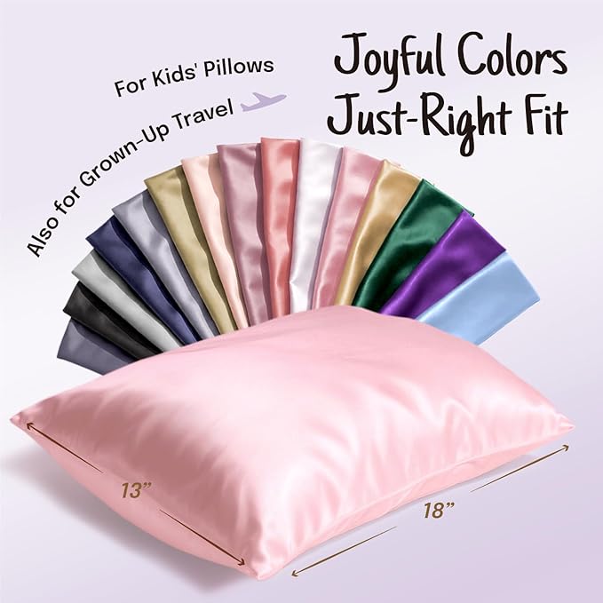 OLESILK 100% Mulberry Silk Toddler Pillowcase for Hair and Skin, Both Sides 19 Momme Pure Natural Silk Travel Pillow Cases with Hidden Zipper, 13"x 18", Plum