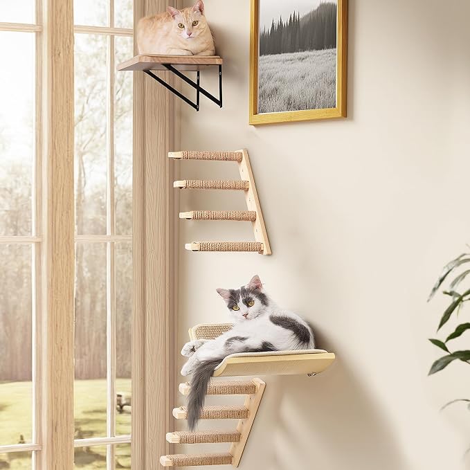 Wall Mounted Cat Shelves Set for Large Cats, 4 Piece Wood Cats Wall Furniture by PELUOMOZ