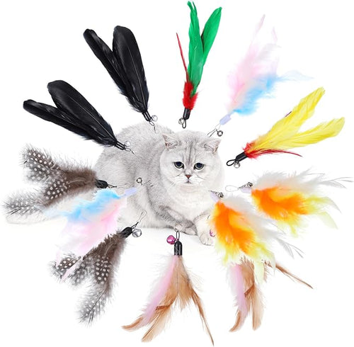 12Pcs Cat Feather Toys Refills, Feather Cat Wand Toys Attachment by Unknown