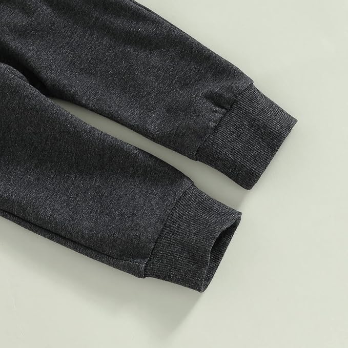 Toddler Baby Boy Clothes Solid Color Long Sleeve Crewneck Sweatshirt Top Casual Pants Set 2Pcs Fall Winter Outfits