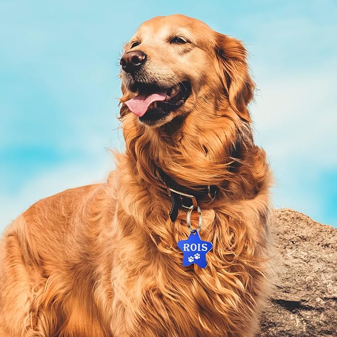 Dog Tags Engraved for Pets - Image 5