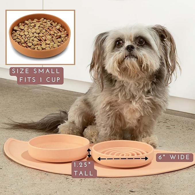 Should We Go? Slow Feeder for Dogs & Cats, The Slowdown Bowl Silicone Slow Eating Mealtime Solution with Modern Lick Mat Design, Reduces Gulping, Fits 1 Cup, 6” Across x 1.25” Tall, Small-Terracotta