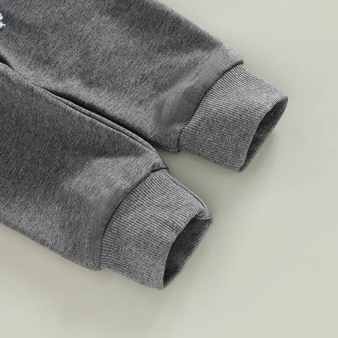 Toddler Baby Boy Clothes Solid Color Long Sleeve Crewneck Sweatshirt Top Casual Pants Set 2Pcs Fall Winter Outfits