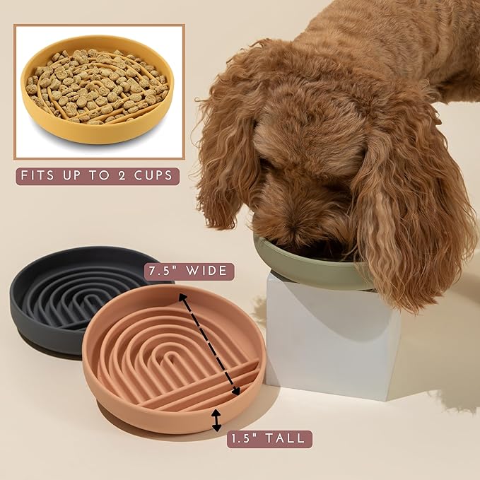 Should We Go? Slow Feeder for Dogs & Puppies, The Slowdown Bowl Silicone Slow Eating, Modern Lick Mat Design, Reduces Gulping, Fits 2 Cups, 7.5” Across x 1.5” Tall, Mealtime Challenge, Medium-Sage