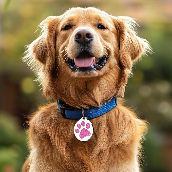 Dog Tags Personalized for Pets Dog Name Tags Personalized Dog Tag Engraved - Image 4