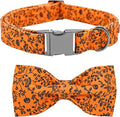 Halloween Dog Collar, Pet Collars Dog Bow Pumpkin Cute Cotton Dogs Collar Girl by BoboRainbow