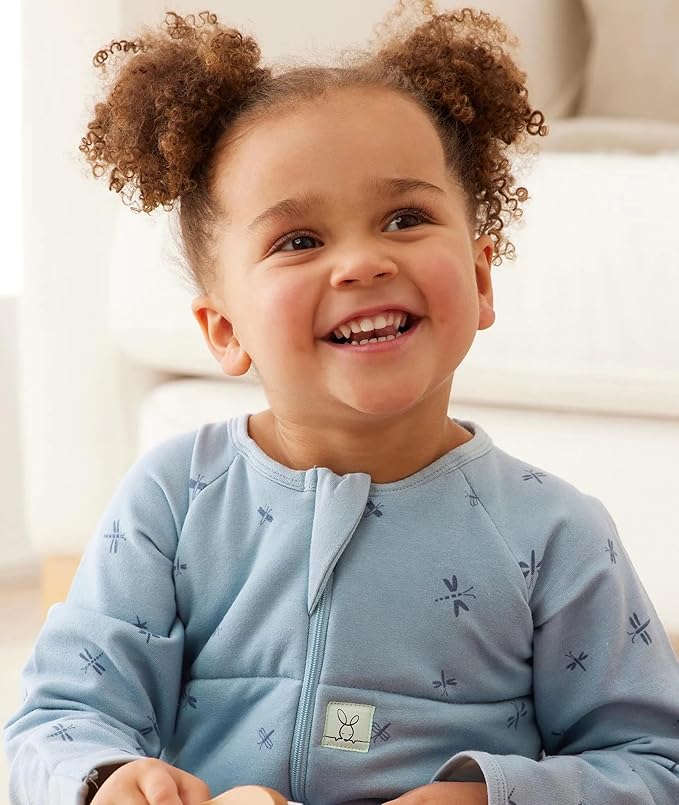 ergoPouch 2.5 TOG Sleeping Bag – Breathable, Cozy Sleepwear for Boys and Girls (12-24 Months, Dragonflies)