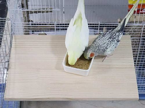 15.7×10.4 Inches Large Bird Perch Stand Platform, Natural Wooden Small Animals - Image 2