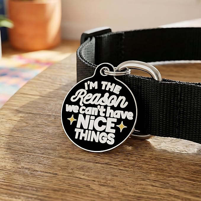 Bad Tags Personalized Dog and Cat ID Tags in 25+ Designs and 2 Sizes - Image 4