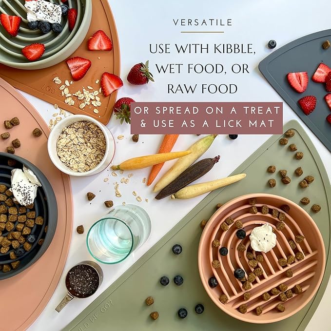 Should We Go? Slow Feeder for Dogs & Puppies, The Slowdown Bowl Silicone Slow Eating, Modern Lick Mat Design, Reduces Gulping, Fits 2.5 Cups, 9.5” Across x 1.5” Tall, Mealtime Challenge, Large-Sage