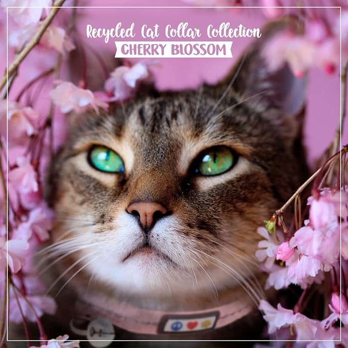 Pawtitas Recycled Pink Reflective Cat Collar – Eco-Friendly Breakaway Safety - Image 9