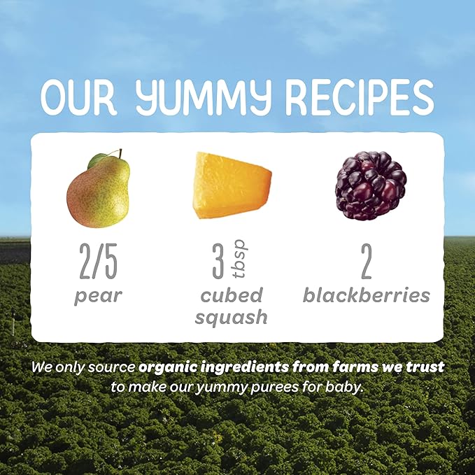 Happy Baby Organics Stage 2 Baby Food Pouches, Gluten Free, Vegan & Healthy Snack, Clearly Crafted Fruit & Veggie Puree, Pears, Squash & Blackberries, 4 Ounces (Pack of 16)
